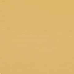 Dub - Pantone/RAL Ginger yellow (B 32)