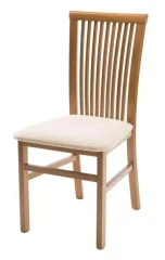 Jídelní židle Angelo 1 č.1
