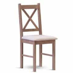 Židle TERA čalouněná č.1