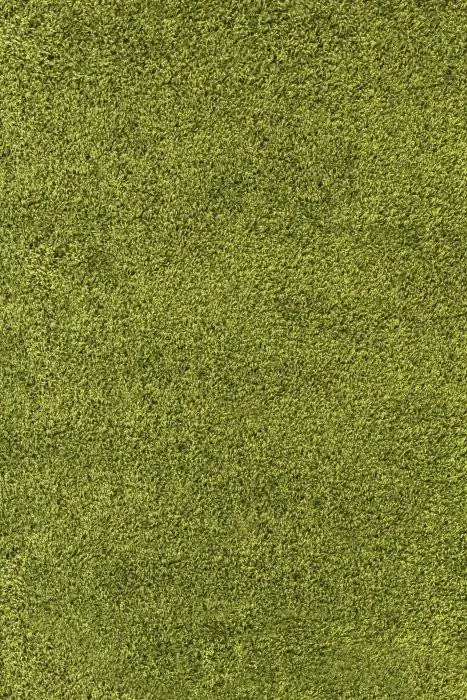 Ayyildiz Kusový koberec Life Shaggy 1500 green 140x200 cm