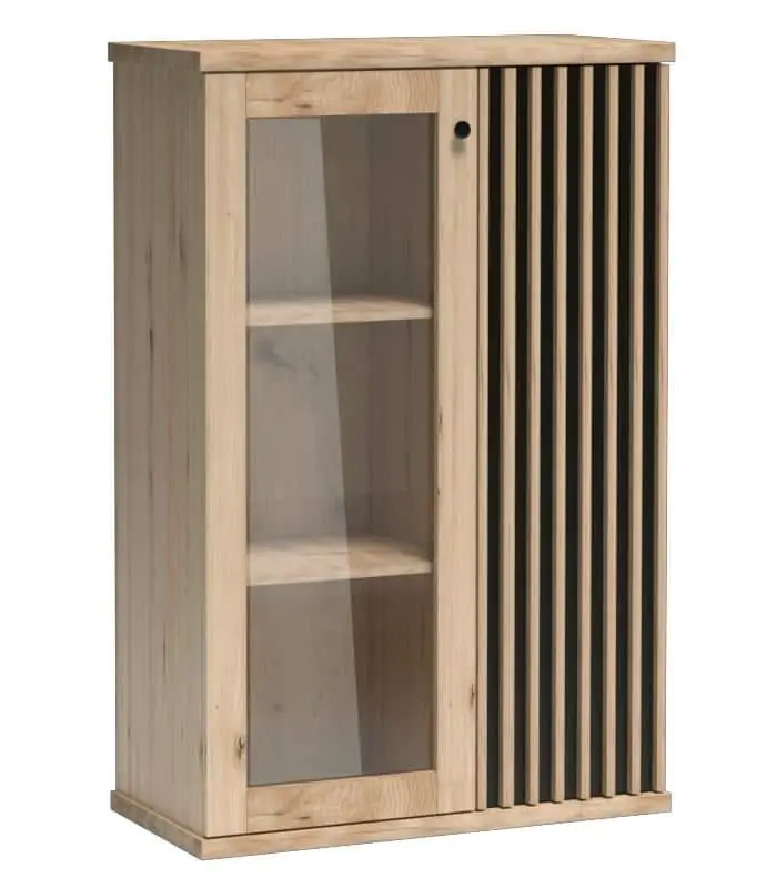 Levně Casarredo Vitrína 2D BARBUS dub artisan/černá