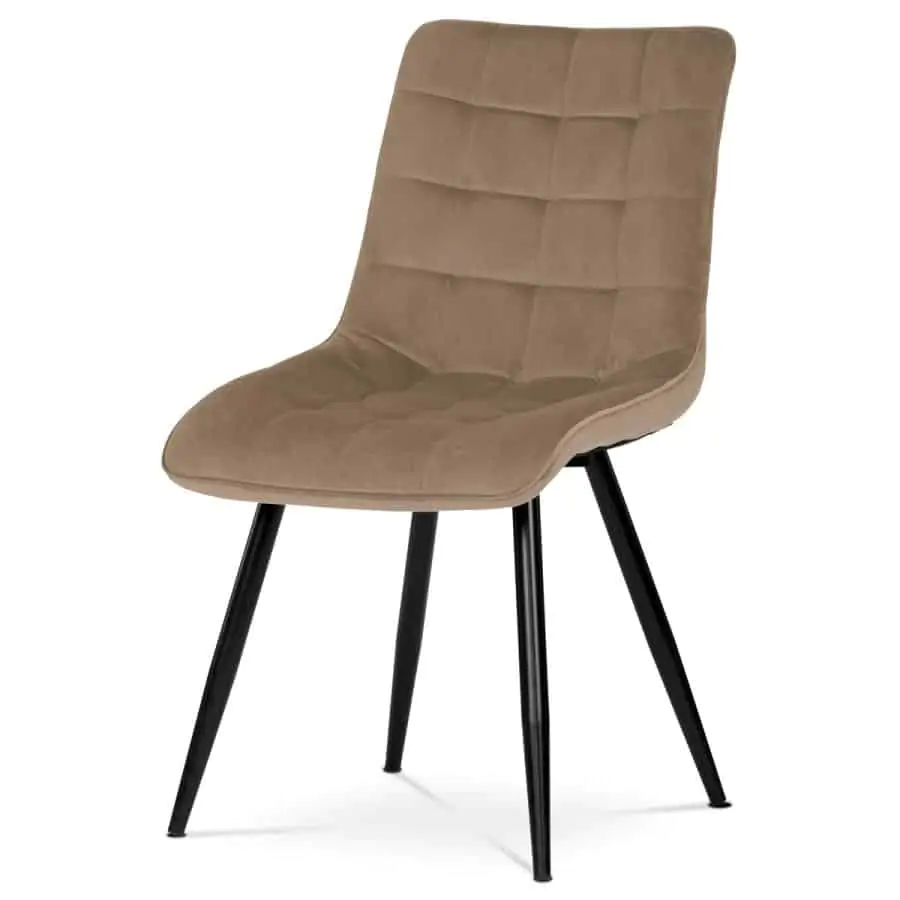 Židle jídelní CT-384 CAP4