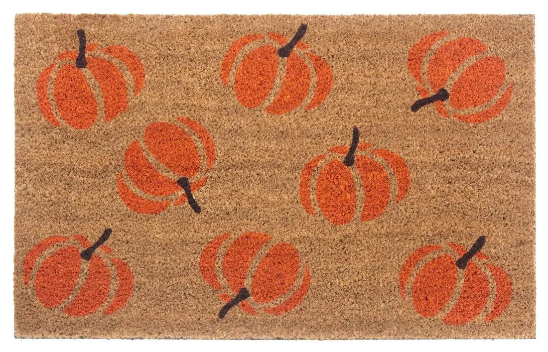 Hanse Home Hanse Home rohožka Mix Mats 105677 Cocos 45x75 cm