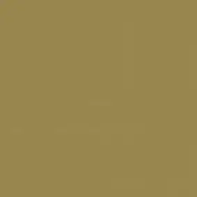B 58 - Gold