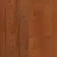 Kaštan/ořech vlašský