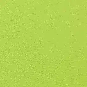 Koženka Ginkgo Granny
