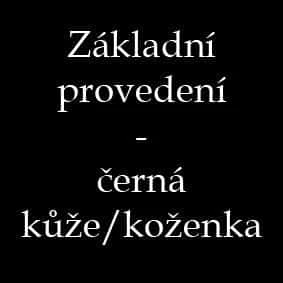 Černá kůže/koženka.