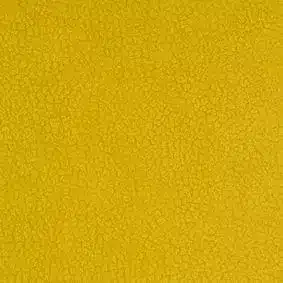 Carabu giallo 131