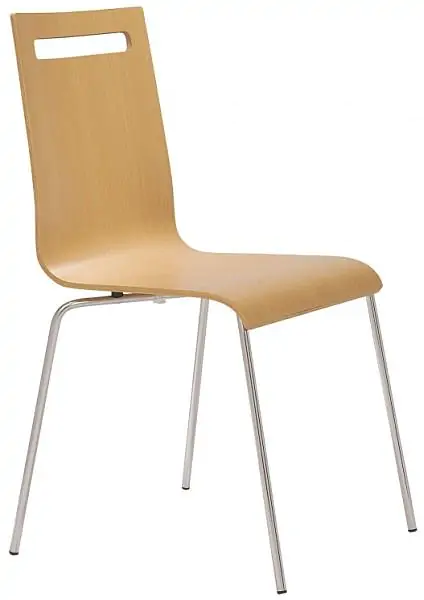 Antares Jídelní židle Elsi LC