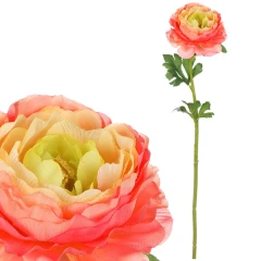 Ranunculus - umělý řezaný, 1 květ, růžovo-žlutý UKK354-PINK