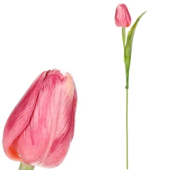 Tulipán - plast, 1 květ, tmavě růžový, cena za 1 ks SG60104 PINK