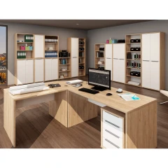 Věšákový panel, dub artisan/bílá, RIOMA TYP 19