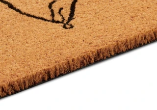 Hanse Home rohožka Květiny 106202 - na ven i na doma