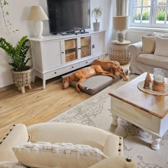 NORTHRUGS kusový koberec Beach 103854 Cream/Beige – na ven i na doma