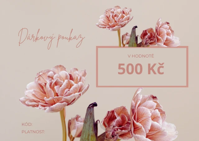 Dárkový poukaz v hodnotě 500 Kč