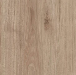 Knihovna Sigal 585, jackson hickory č.8
