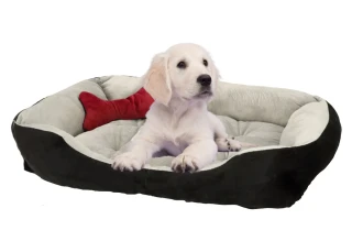 Pelíšek Relax s plyšovou kostí M PPBH2079