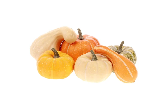 Dýně plastové, mix tvarů PRZ3535 Dýně plastové, mix tvarů PRZ3535