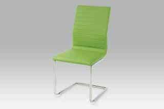 Jídelní židle HC-038-1 GRN