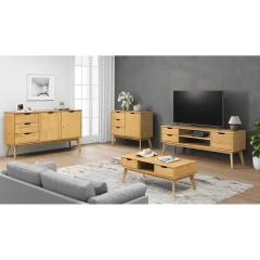 TV stolek 1 dveře + 2 zásuvky BONITO vosk TV stolek 1 dveře + 2 zásuvky BONITO vosk