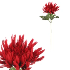 Chryzantéma červená KU5007 RED