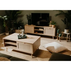 TV stolek BALI 56A dub TV stolek BALI 56A dub