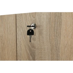 Šatní skříň TEMPO ASISTENT NEW 005 - dub sonoma č.4