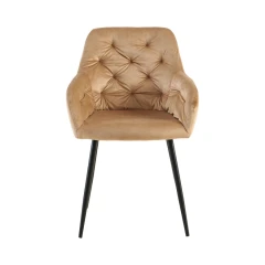 Jídelní židle SYDNEY béžová