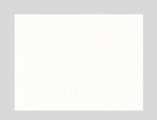 Koženka Dollarone 01