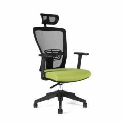 Kancelářská židle THEMIS SP - TD-20, zelená