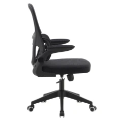 Kancelářské křeslo, černá, RAKIN