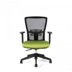 Kancelářská židle THEMIS BP - TD-20, zelená č.2