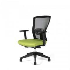 Kancelářská židle THEMIS BP - TD-20, zelená č.3