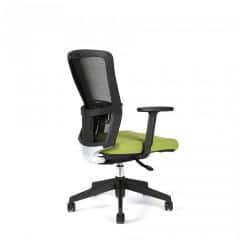 Kancelářská židle THEMIS BP - TD-20, zelená č.7