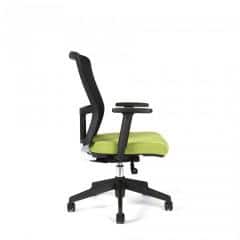 Kancelářská židle THEMIS BP - TD-20, zelená č.8