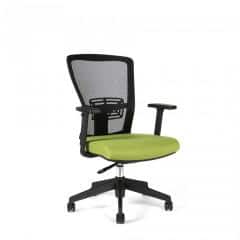 Kancelářská židle THEMIS BP - TD-20, zelená č.1