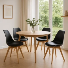 Jídelní židle SCANDINO černá