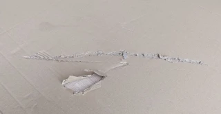 Čtyřdveřový kredenc DOMIS, dub sonoma/bílá - II.jakost č.4