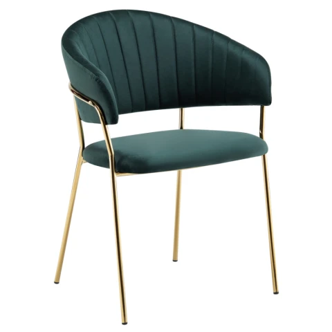 Jídelní křeslo DASMIN TYP 1 - zelená/zlatá