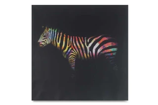 Obraz Zebra OBX1015 č.1