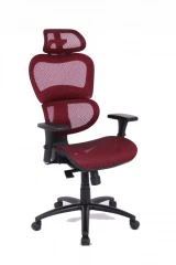 Kancelářské křeslo IT MANAGER č.1