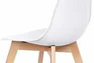 Jídelní židle CT-611 WT - bílý plast / masiv buk č.3