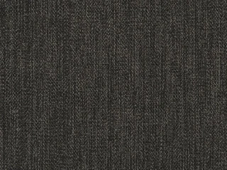 Arya 9811
