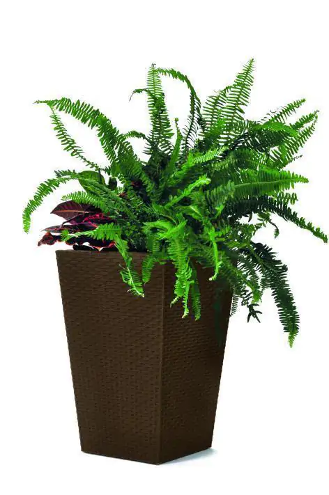 Keter Rattan planter M – hnědá