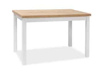 Jídelní stůl ADAM 100x60 - dub lancelot/bílá mat