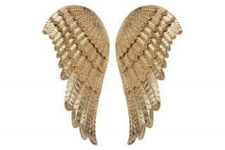 Křídla andělská z kovu, v barvě zlaté. Cena za pár. FB-1480