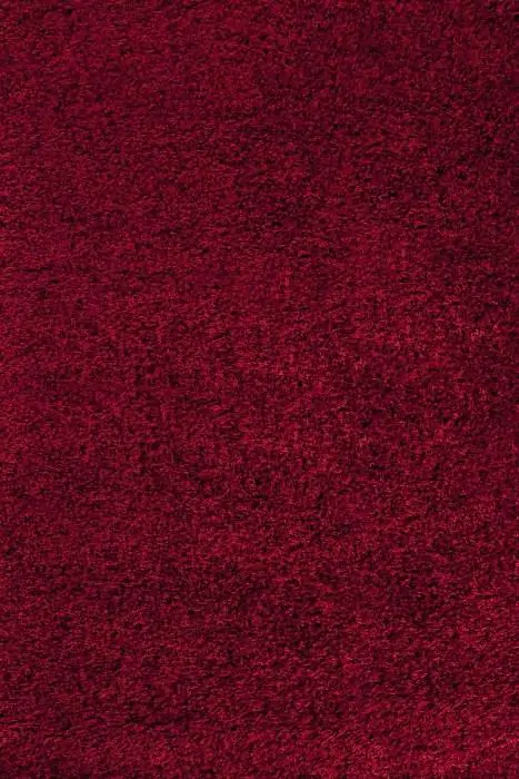 Ayyildiz Kusový koberec Life Shaggy 1500 – červená 140x200 cm