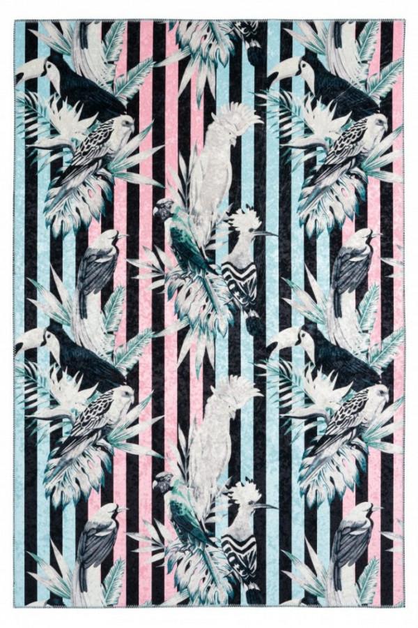 Obsession Kusový koberec Exotic 211 - vícebarevný/ vzor papušek 120x170 cm