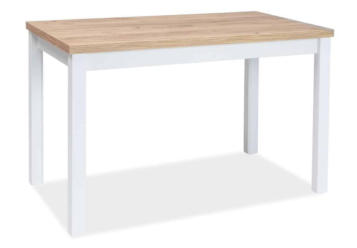 Casarredo Jídelní stůl ADAM 100x60 dub zlatý craft/bílá mat