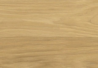 dub hickory